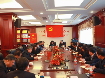 祥龙公司开展基层党支部主题党日活动观摩学习交流会