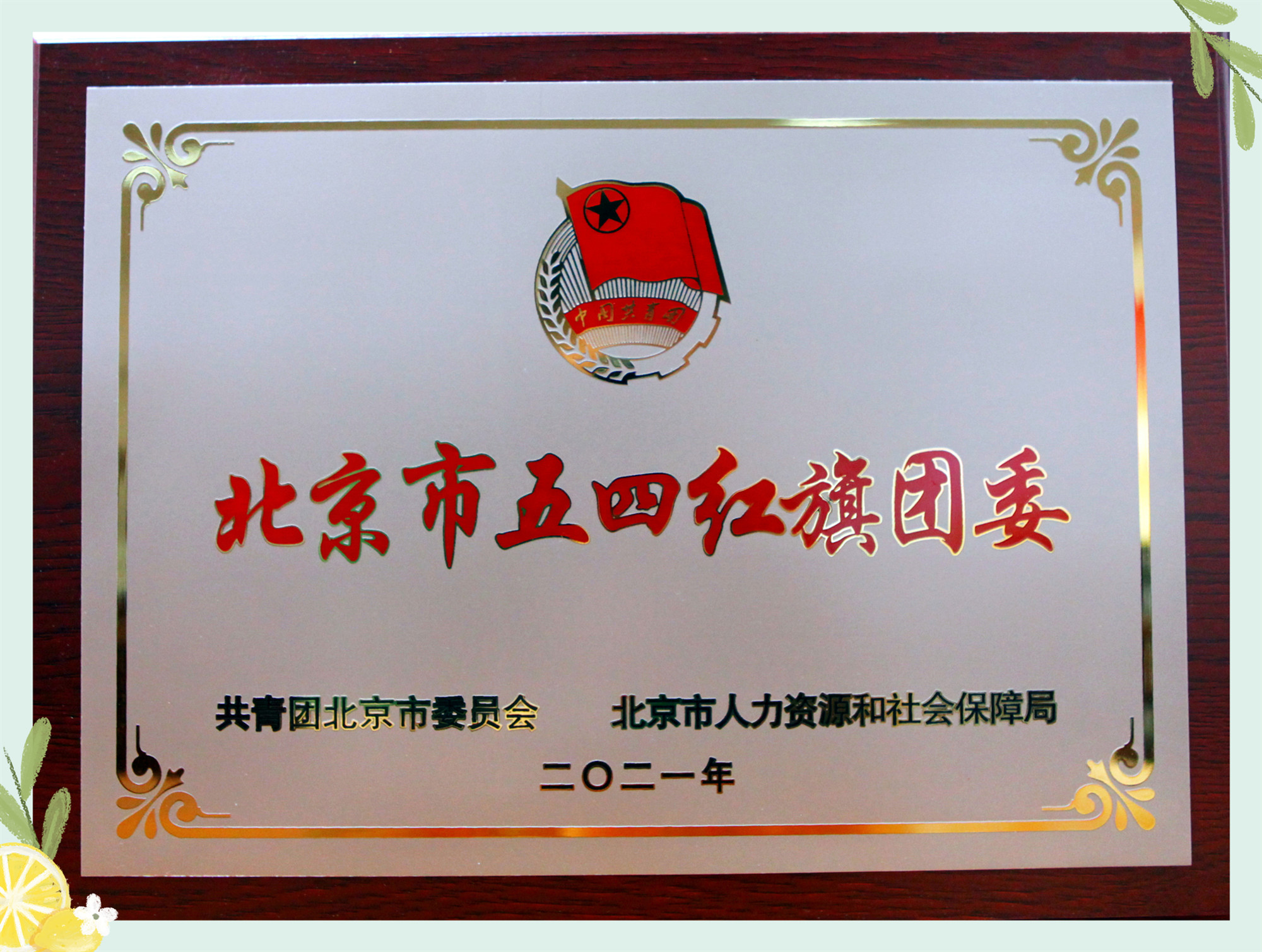 北京祥龙资产经营有限责任公司团委荣获“北京市五四红旗团委”
