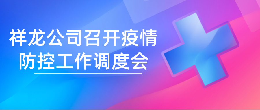 祥龙公司召开疫情防控工作调度会